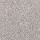 Mohawk Carpet: Dynamic Quality I Moonlit Grey